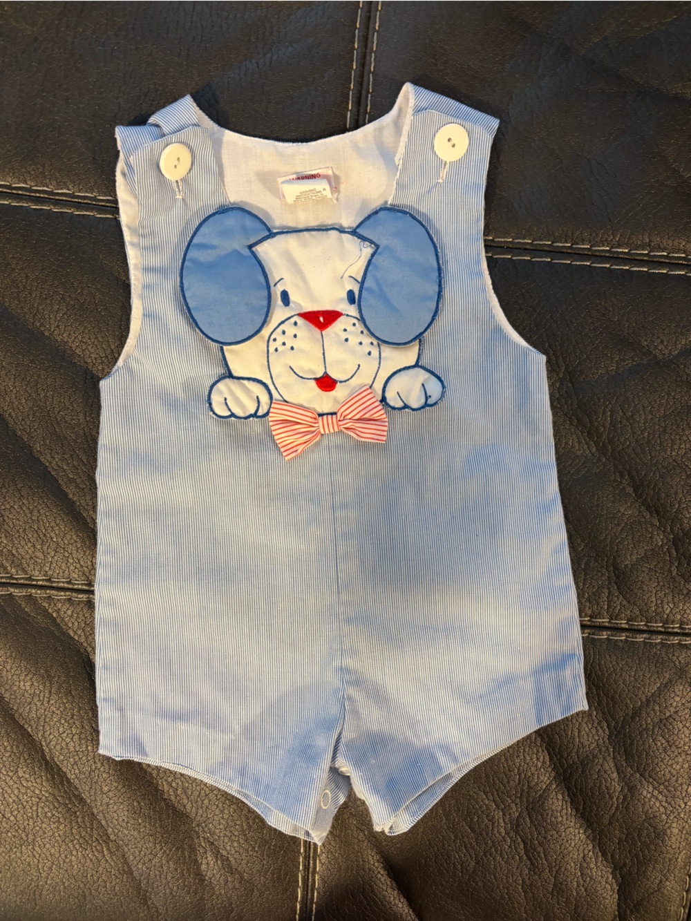 Vintage Light Blue Puppy Appliqué Baby Romper